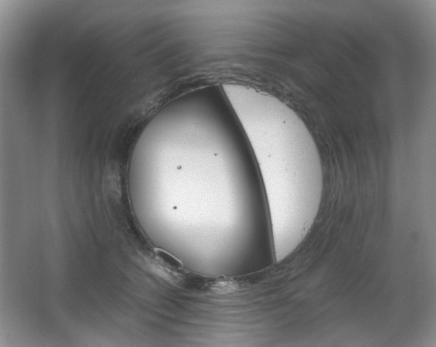 X0000067460562200604070929