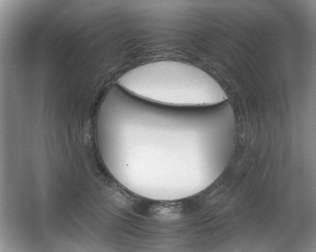 X0000067460563200604070929