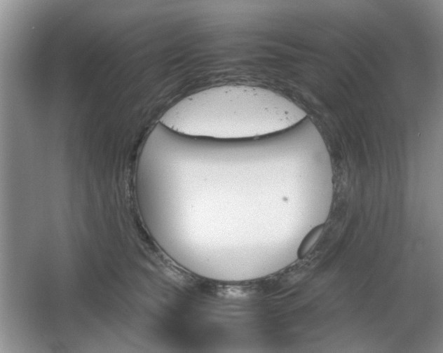 X0000067460565200604070929