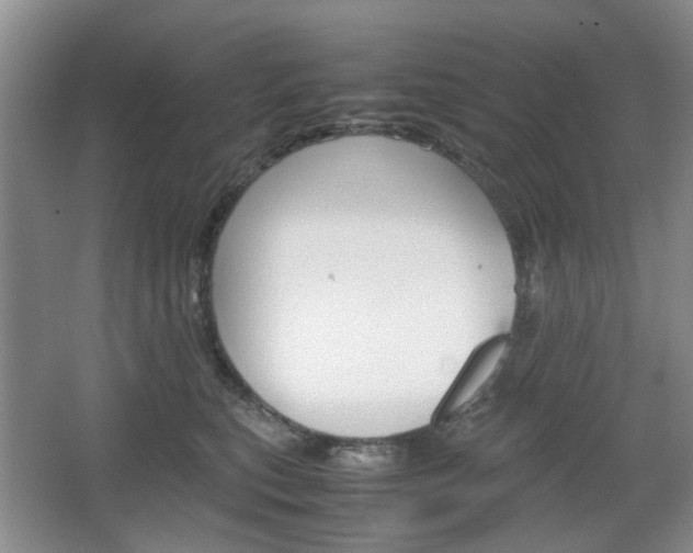 X0000067460567200604070930