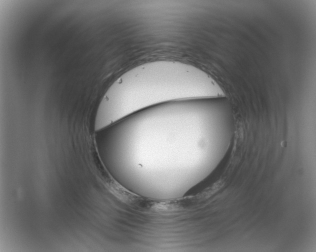 X0000067460568200604070930