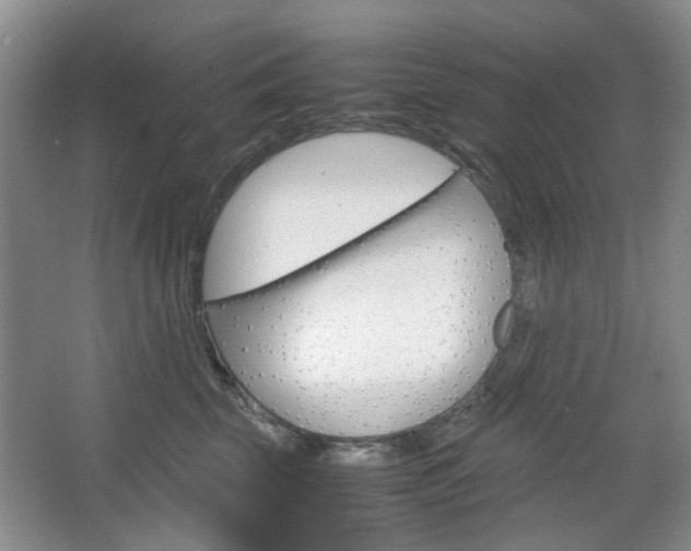 X0000067460569200604070930