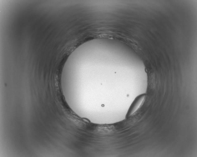 X0000067460571200604070930