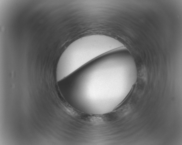 X0000067460572200604070930