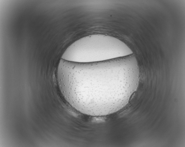 X0000067460573200604070930