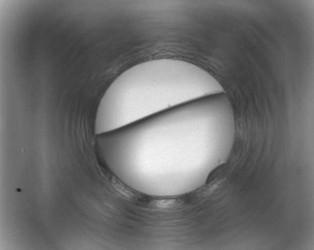 X0000067460575200604070930