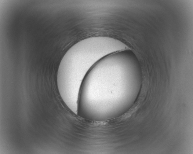 X0000067460576200604070930