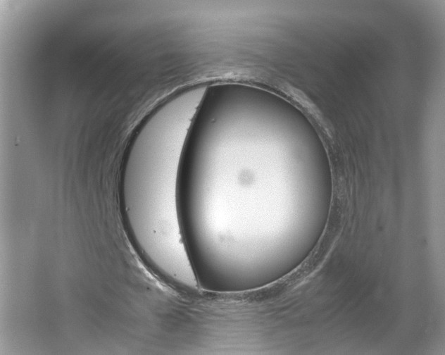 X0000067460577200604070929