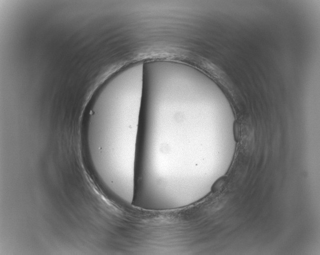 X0000067460578200604070929