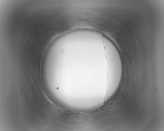 X0000067460579200604070929