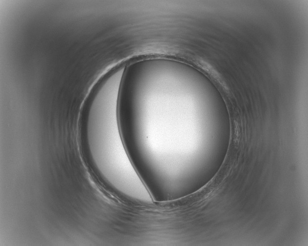 X0000067460580200604070929