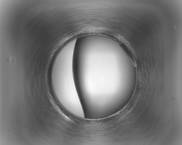 X0000067460581200604070929