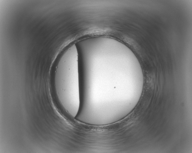 X0000067460582200604070929