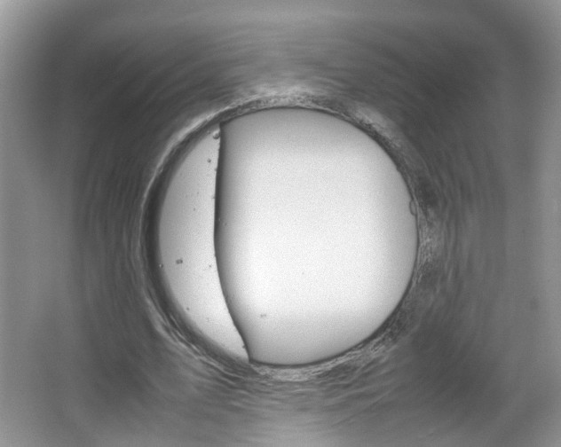 X0000067460583200604070929