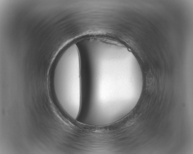 X0000067460584200604070929