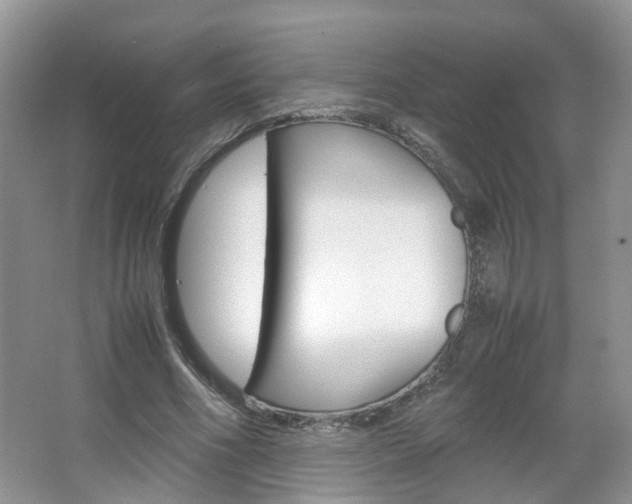 X0000067460586200604070929