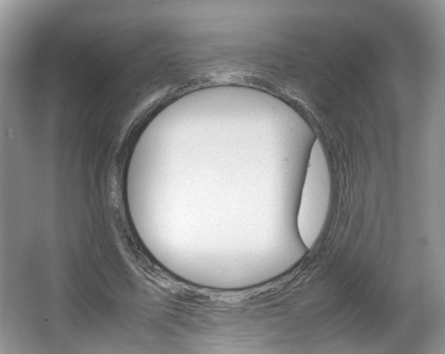 X0000067460587200604070929