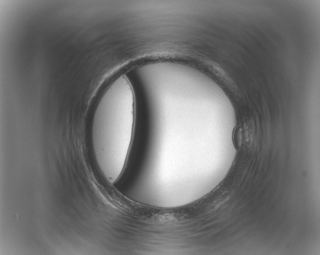 X0000067460588200604070929