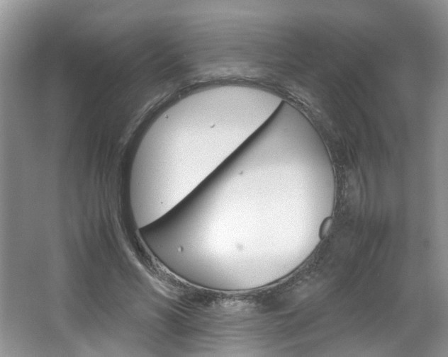 X0000067460590200604070929