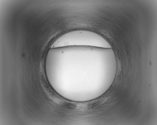 X0000067460591200604070929