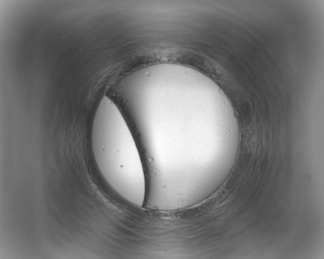 X0000067460594200604070929