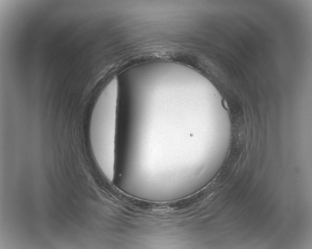 X0000067460595200604070929