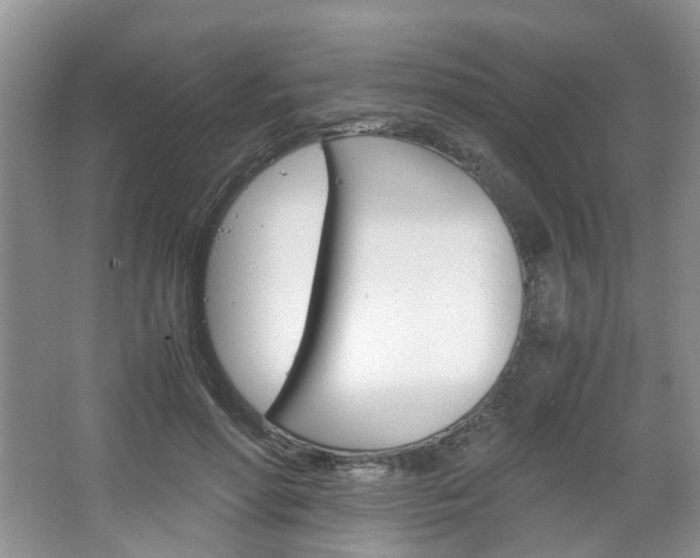 X0000067460598200604070929