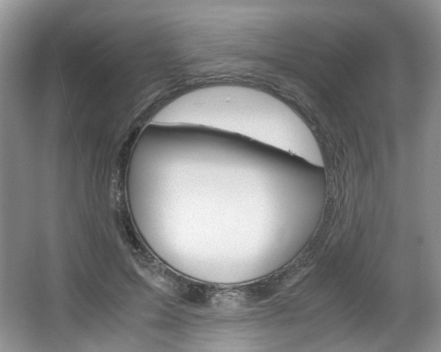 X0000067460599200604070929