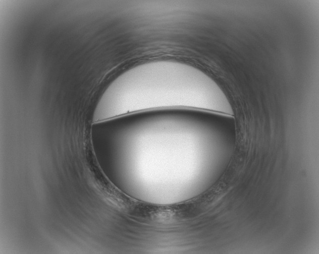 X0000067460600200604070928