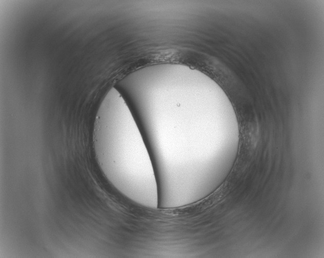 X0000067460602200604070928