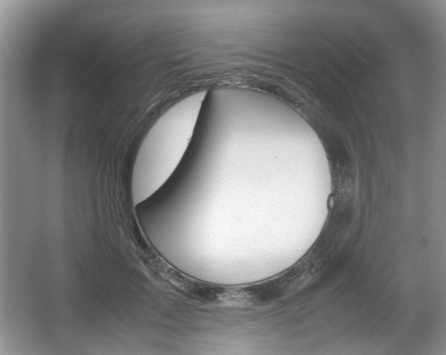 X0000067460603200604070928