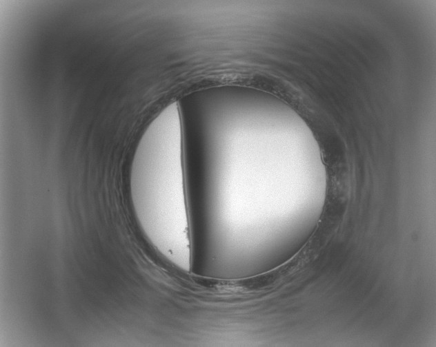 X0000067460605200604070928