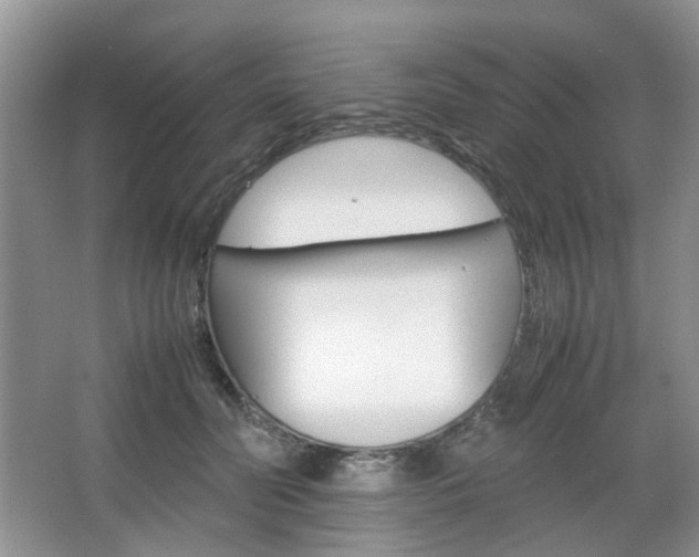 X0000067460606200604070928