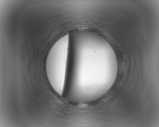 X0000067460609200604070928