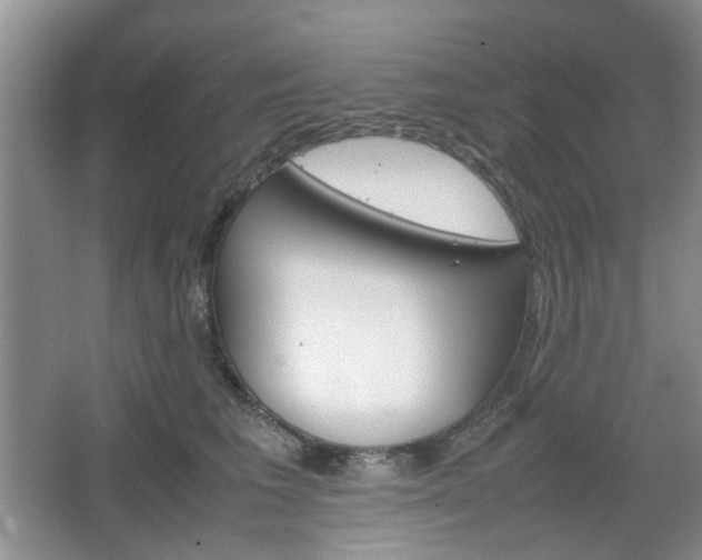 X0000067460613200604070928