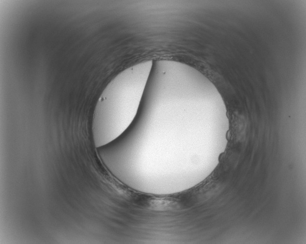 X0000067460614200604070928