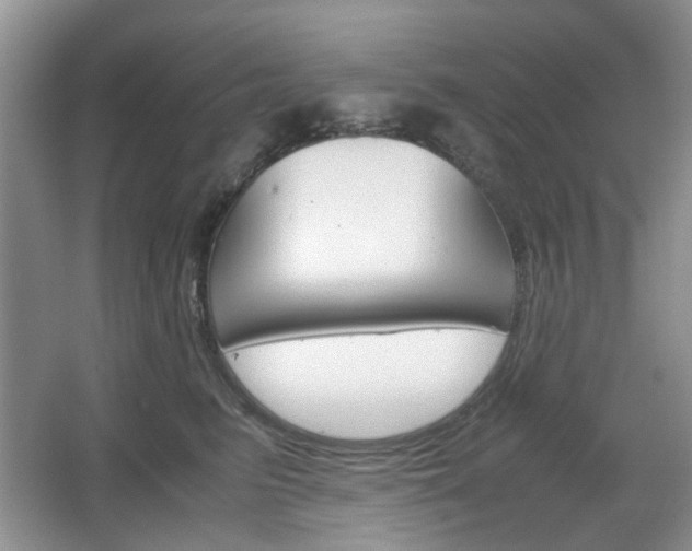 X0000067460615200604070928