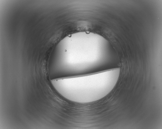 X0000067460616200604070928