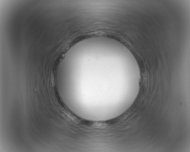 X0000067460617200604070928