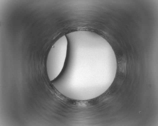 X0000067460618200604070928