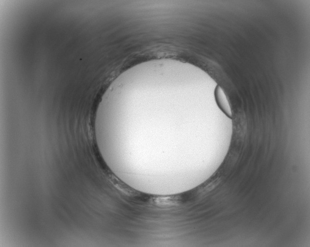 X0000067460622200604070928