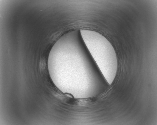 X0000067460623200604070928