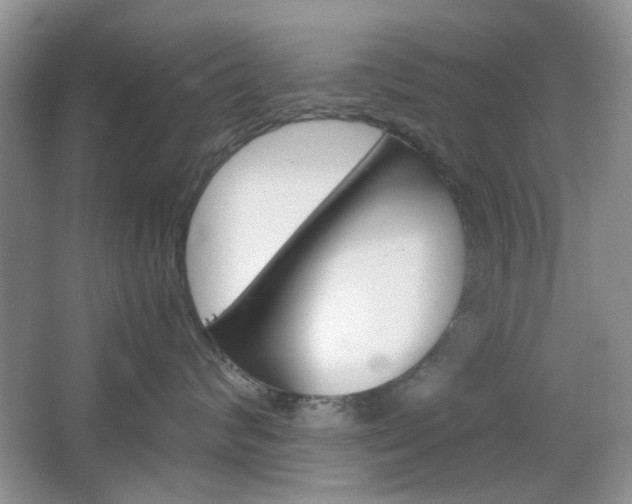 X0000067460624200604070928