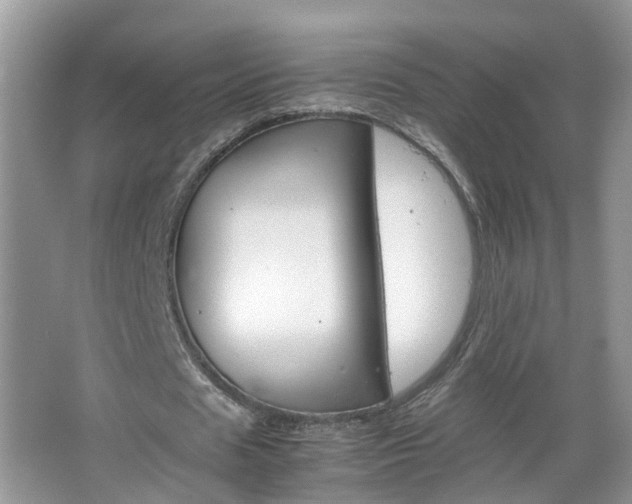 X0000067460625200604070927