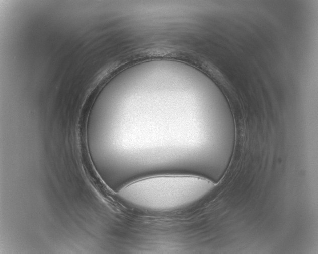 X0000067460626200604070927