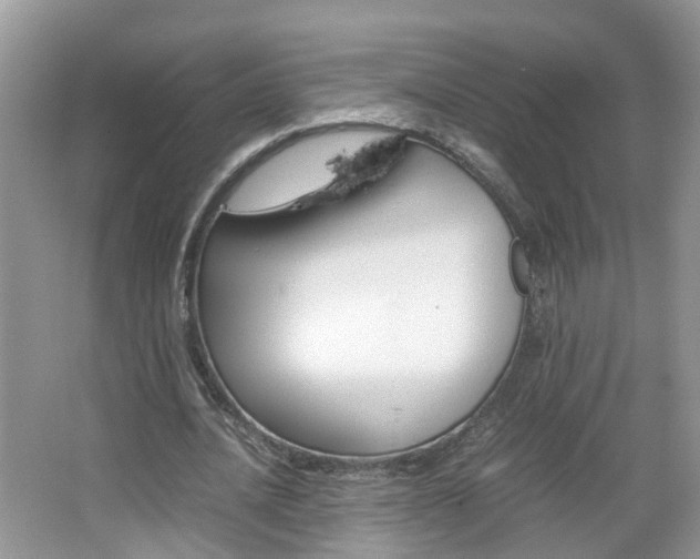 X0000067460628200604070927