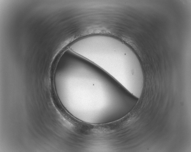 X0000067460630200604070927