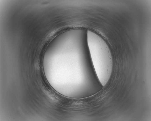 X0000067460631200604070927