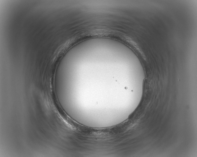 X0000067460633200604070927