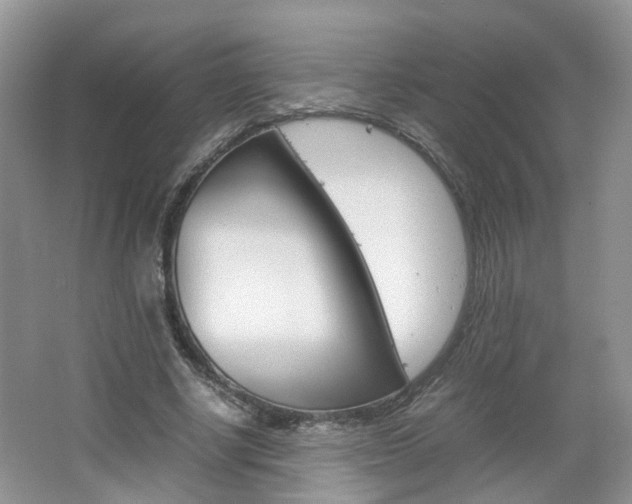 X0000067460634200604070927